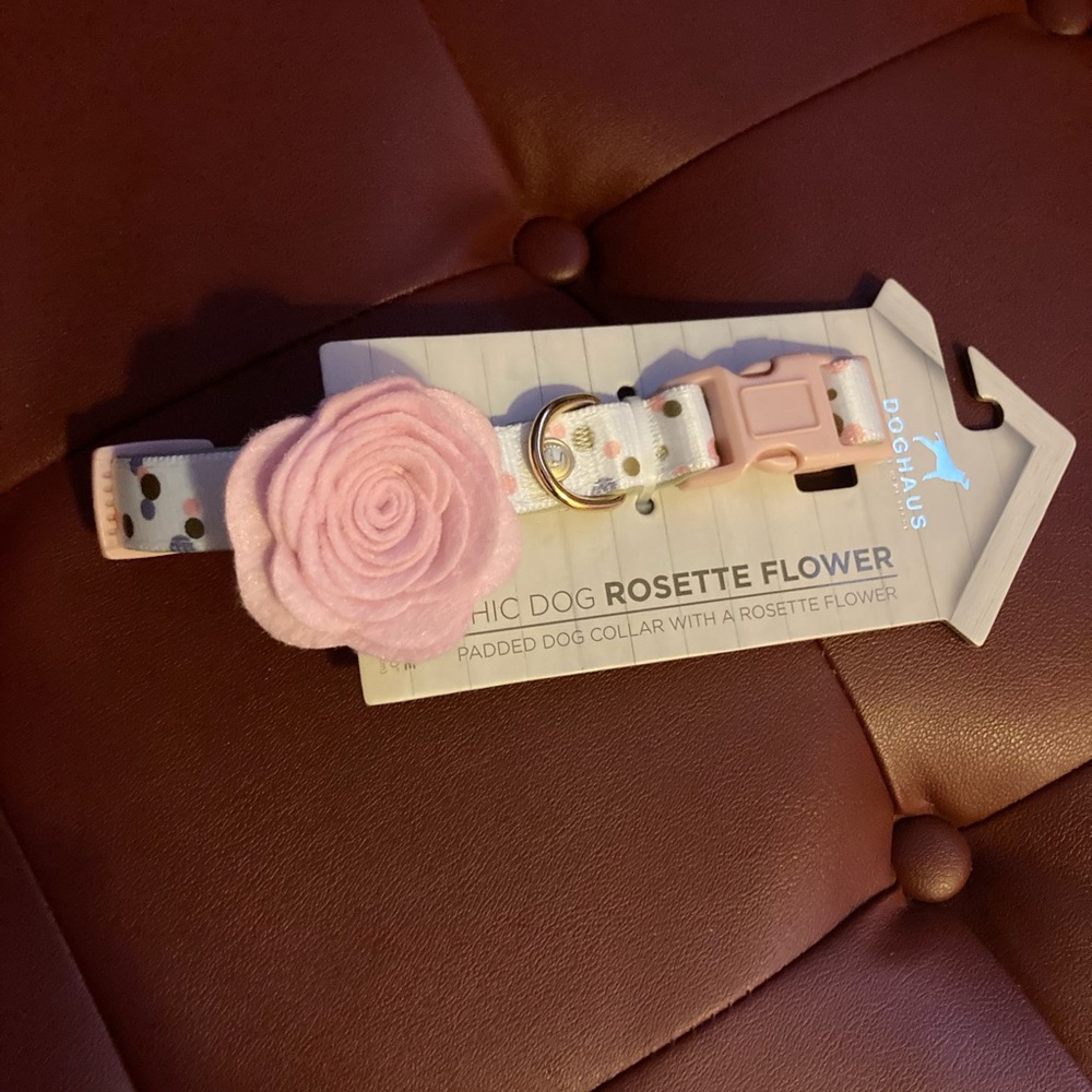 Dog collar - Picture 1 of 3